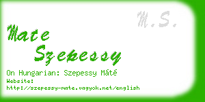 mate szepessy business card
